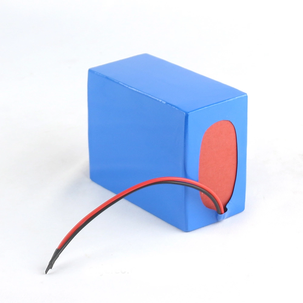 Hot Sale 12V Lithium Ion Battery