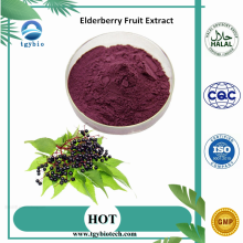 Black Elderberry Extract /Elderberry Fruit Extract Powder