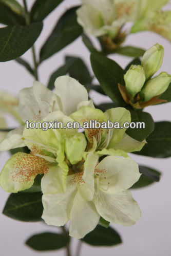 27416H rhododendron whelan azalea silk long length outdoor flower