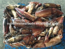 Frozen Black Squid