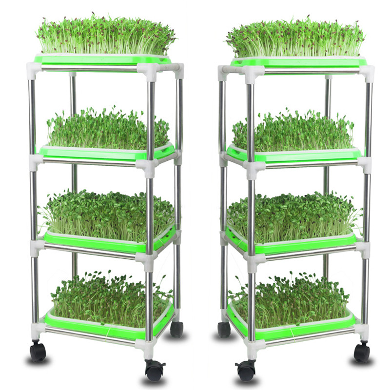 Green Seedling Frame With Seedling Trays To Plant