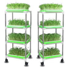 Home Planting Seedling Frame With Trays