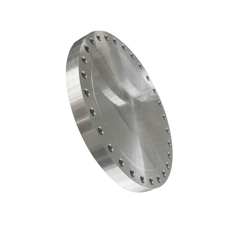 304 316 BL Flange