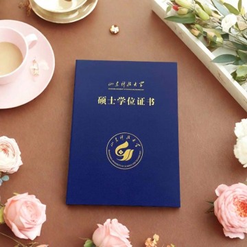 Creative Gold Foil Folder Design Concepts