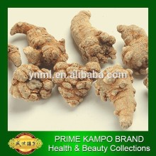 hot sale pseudo-ginseng, san qi root for health care, tian qi promote blood circulation, sex enhance, immunity, anti-aging
