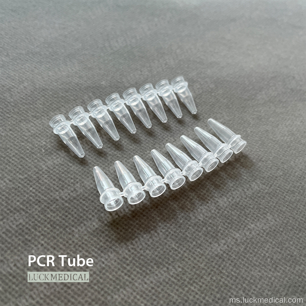 Plastik plastik 8-tiub jalur pcr