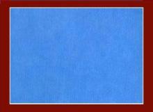 Polypropylene / PP SS Non Woven Hydrophobic Waterproof Fabr