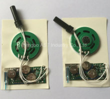 Pre-Recorded Voice Module with Motion Detection