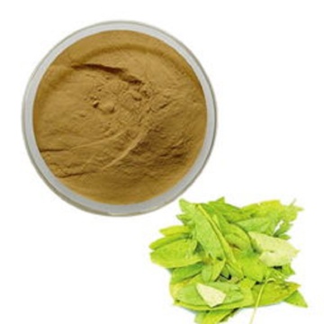 Natural Sennosides Powder Senna Leaf Extract/senna leaf tea