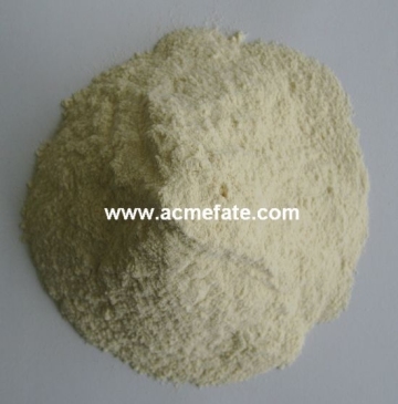 AD/ air dried garlic powder natural garlic price