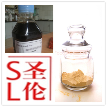 Vegetable protein powder, vegetarian protein powder