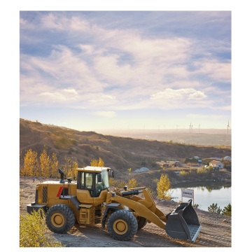 Wheel Loader FL958H met een CE -certificering