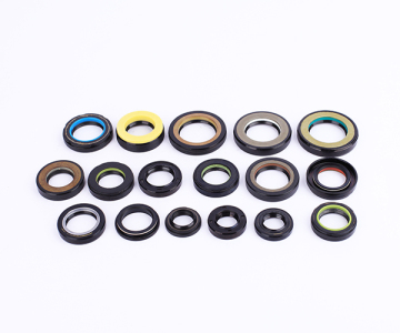 Industry Type VC Oil Seal