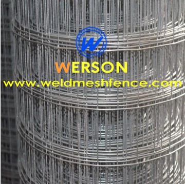 3/4" x 3/4" hot dipped Galvanized Welded Wire Mesh | werson