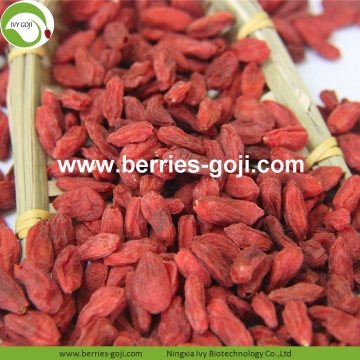 Factory Wholesale Nutrition Natural Ningxia Goji Berries