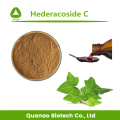 Extracto de hoja de hiedra Hederacósido C 10% en polvo