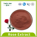 Solid drink rose extract contains rose polyphenols