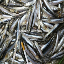 Frozen block anchovy