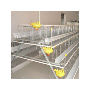 Custom Clean Chicken Coop for Baby Chickens (20pcs)