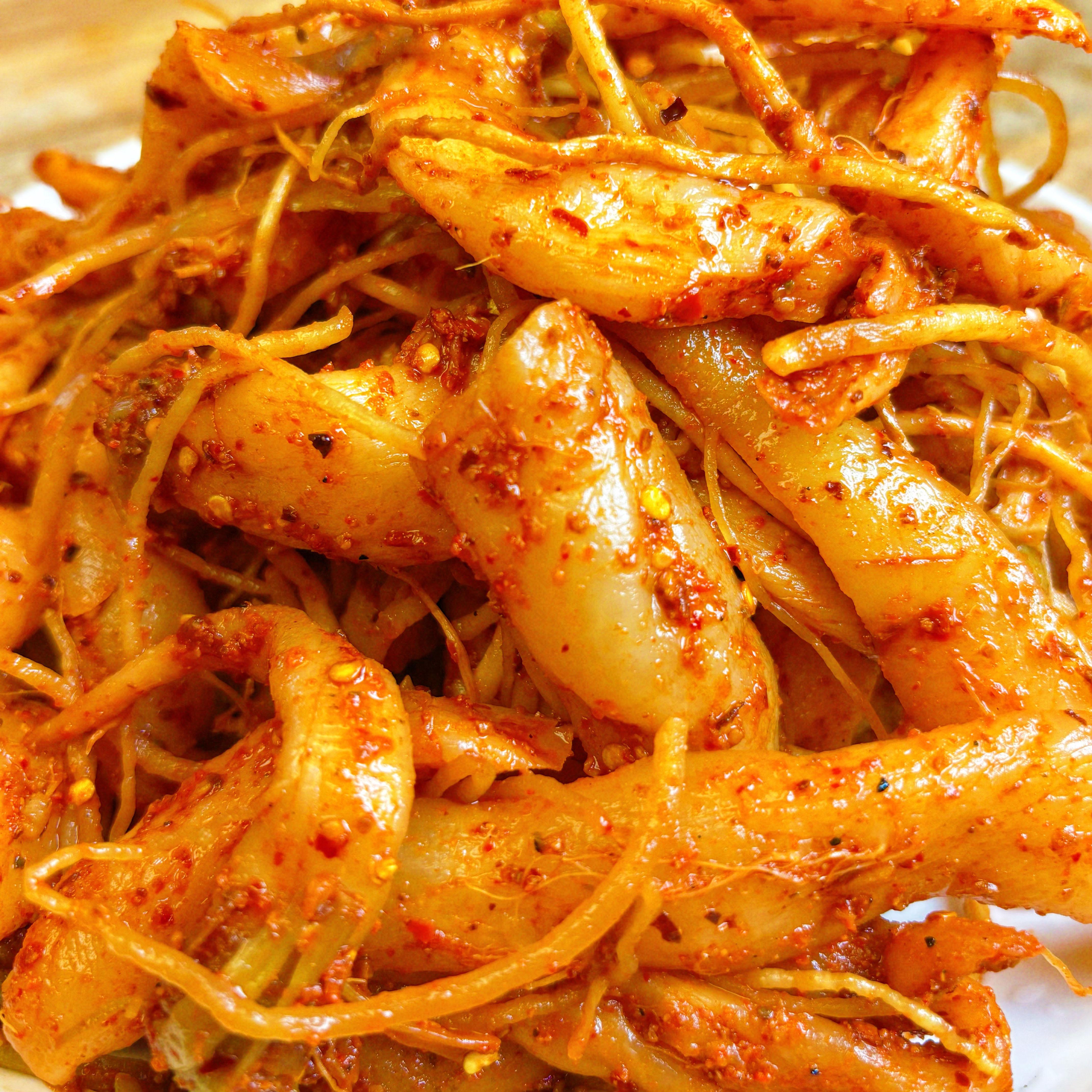 lobak radish