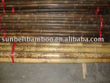 Speckled bamboo Pole Sun-012