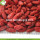 Thực phẩm Super Thực phẩm khô Best Goji Berries