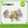 Pure White Common Garlic Price