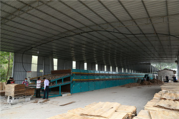 Veneer Roller Dryer Makes Veneer Flat Even