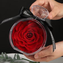 2024 New Arrival: Preserved Rose in Acrylic Vase for Valentine's Day Gifts