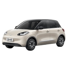 Wuling Binguo MINEV New Car Launch