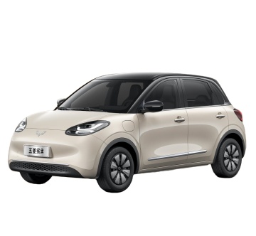 Wuling Binguo MINEV New Car Launch