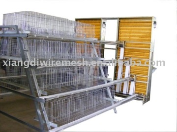 A Type Chicken cages