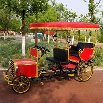 4 Person Surrey Bike with Awning in Surrey