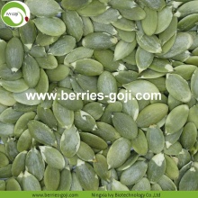 Supply Bulk Nutrition Dry fruits Pumpkin Kernels