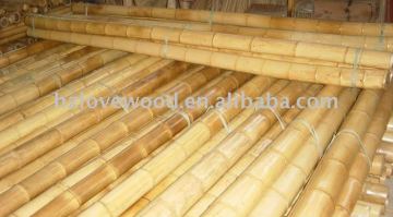 Tonkin poles/ bamboo canes/ bamboo sticks/ best price & wholesale