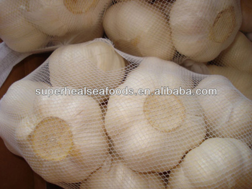 Chinese Pure White Garlic