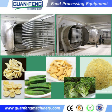 Good Price Fruit and vegetable Vacuum Freezer Dryer