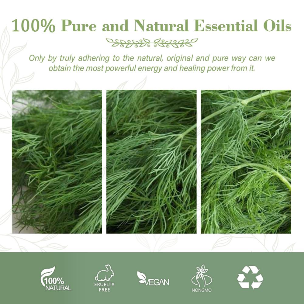 100% Pure Organic Dill Weed Oil For Diffuser, Soap And Candle Making