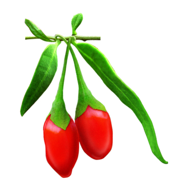 100% Pure Goji Raw Juice