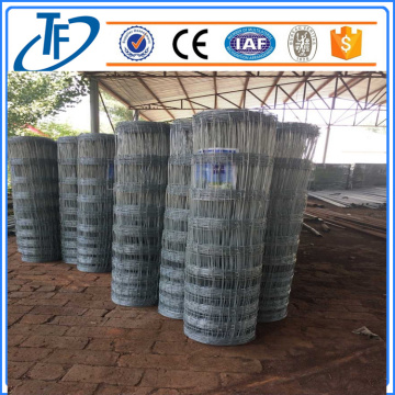 200g / m2 Hot Dipped Galvanized Farm Fence, Pagar Ternak