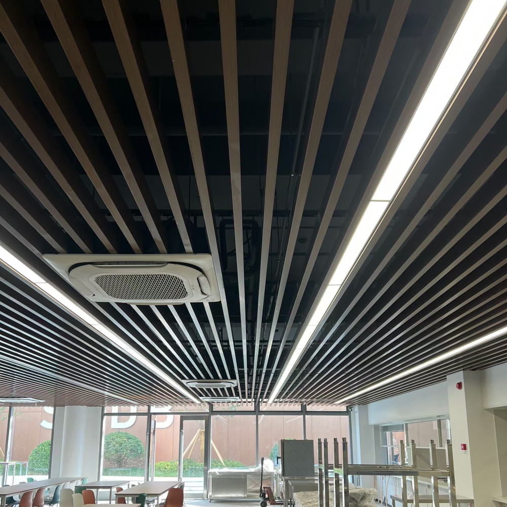 потолочный лист ceiling sheet