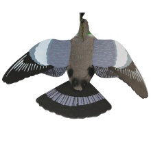 Teal Owl Wing Gray Plastic Flocked Bird Caller Hunting Decoy