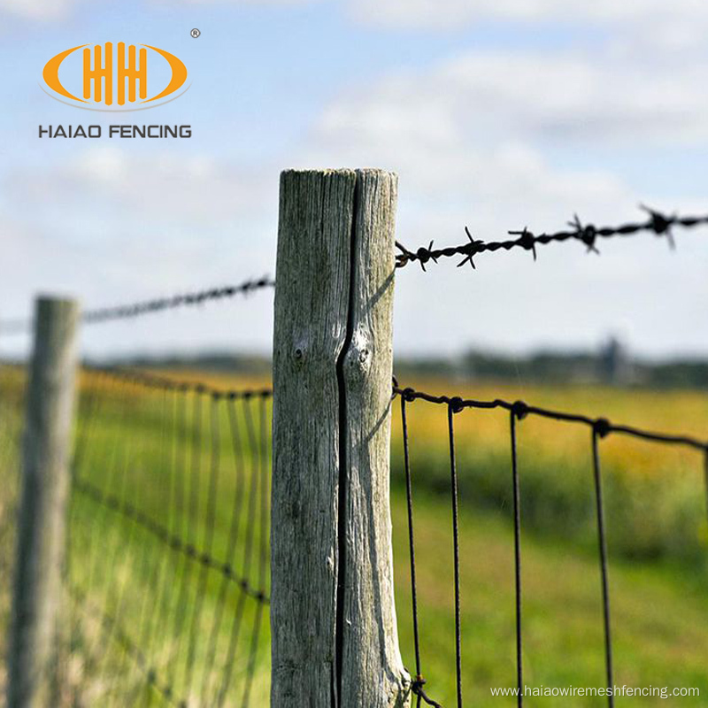 Cheap galvanized pasture farm tornado wire fence