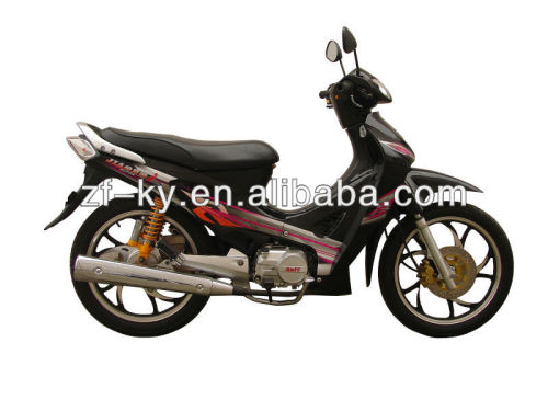 ZF110 Biz 100 EEC Motorbike 110cc Cub, motorcycle