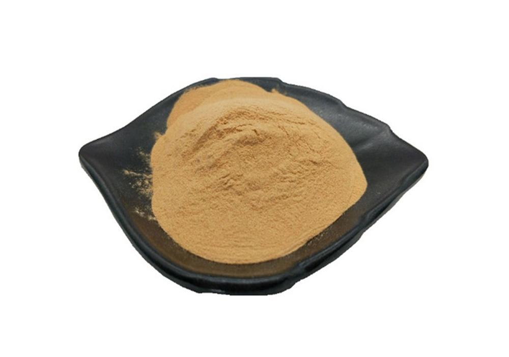 aditivo alimentario21-y feed additive21-y