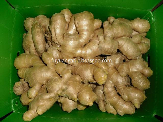 air dried ginger  