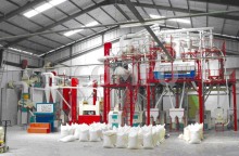Maize Processing Line
