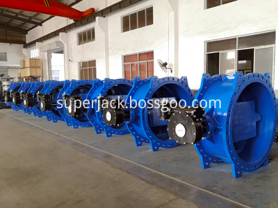 DN1200 Double Eccentric Double Flange Butterfly Valve