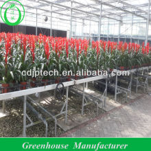 glass multi span greenhouse