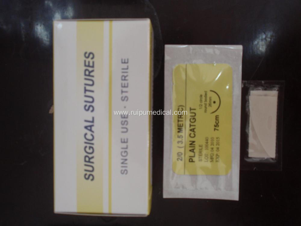 Absorbable Plain Catgut Surgical Sutures With Needle